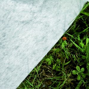 Madagascar Комплект вкопан басейн овал 500x300x150 см