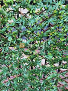 Декоративна ограда Хармоника ЛУКС  - Японски клен, ЗЕЛЕН, 85%, 2х1 метра