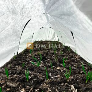 Парник за разсад SOLE TERRA 4 м