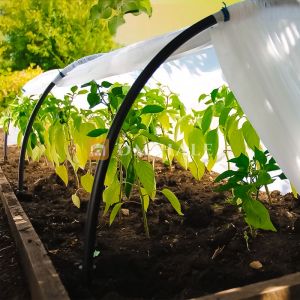 Парник за разсад SOLE TERRA 8 м