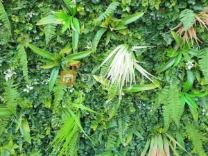 Декоративна плочка "Папрат + Фаларис", 100х100 см, 1 брой