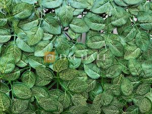 Декоративни плочки "Азалия", 50х50 см, 4 броя