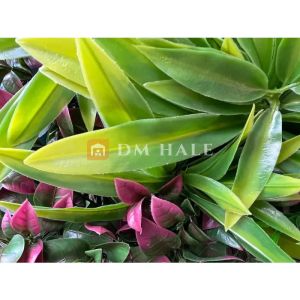 Декоративна плочка "Папрат + Азалия", 100х100 см, 1 брой