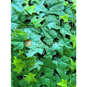 Декоративни плочки "Hedra", 50х50 см, 4 броя