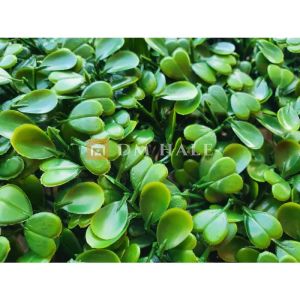 Декоративни плочки "Чемшир", 50х50 см, 4 броя