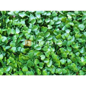 Декоративни плочки "Чемшир", 50х50 см, 4 броя