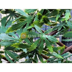 Декоративна ограда Хармоника ЛУКС  - Японски клен, ЗЕЛЕН, 85%, 2х1 метра