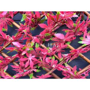 Декоративна ограда Хармоника ЛУКС  - Японски клен, ЧЕРВЕН, 85%, 2х1 метра