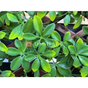 Декоративна ограда Хармоника - Магнолия (Светло зелен) 90%, 2х1 метра