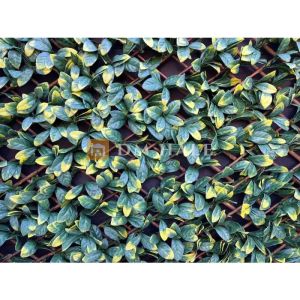 Декоративна ограда Хармоника ЛУКС - Маслина 90%, 2х1 метра