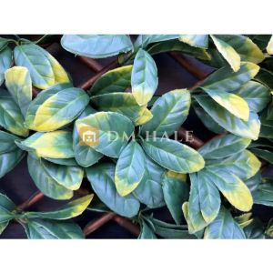 Декоративна ограда Хармоника ЛУКС - Маслина 90%, 2х1 метра