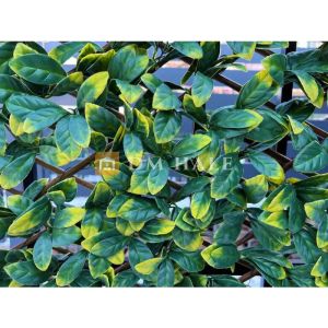 Декоративна ограда Хармоника ЛУКС - Маслина 90%, 2х1 метра