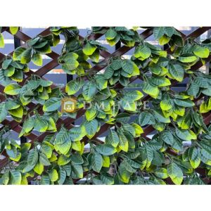 Декоративна ограда Хармоника - Чемшир (Тъмно зелен) 90%, 2х1 метра