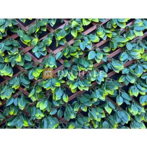 Декоративна ограда Хармоника - Чемшир (Тъмно зелен) 90%, 2х1 метра