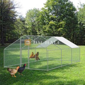 Сглобяем кокошарник 3х6х2 м